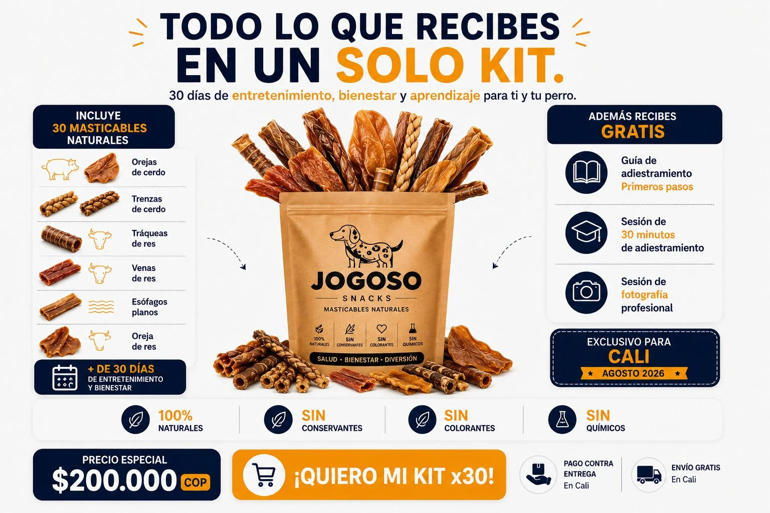 todo lo que recibes en un solo kit