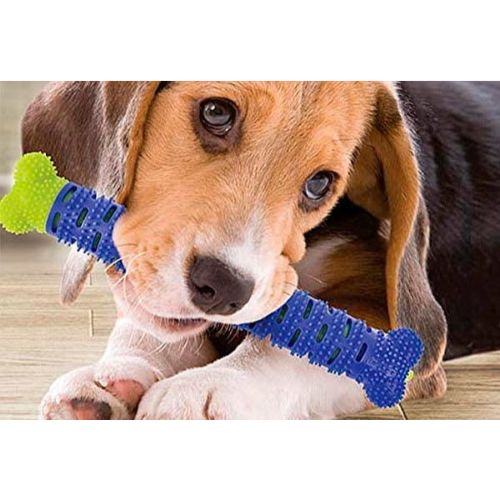 Dientes Sanos ® Hueso para Mascotas