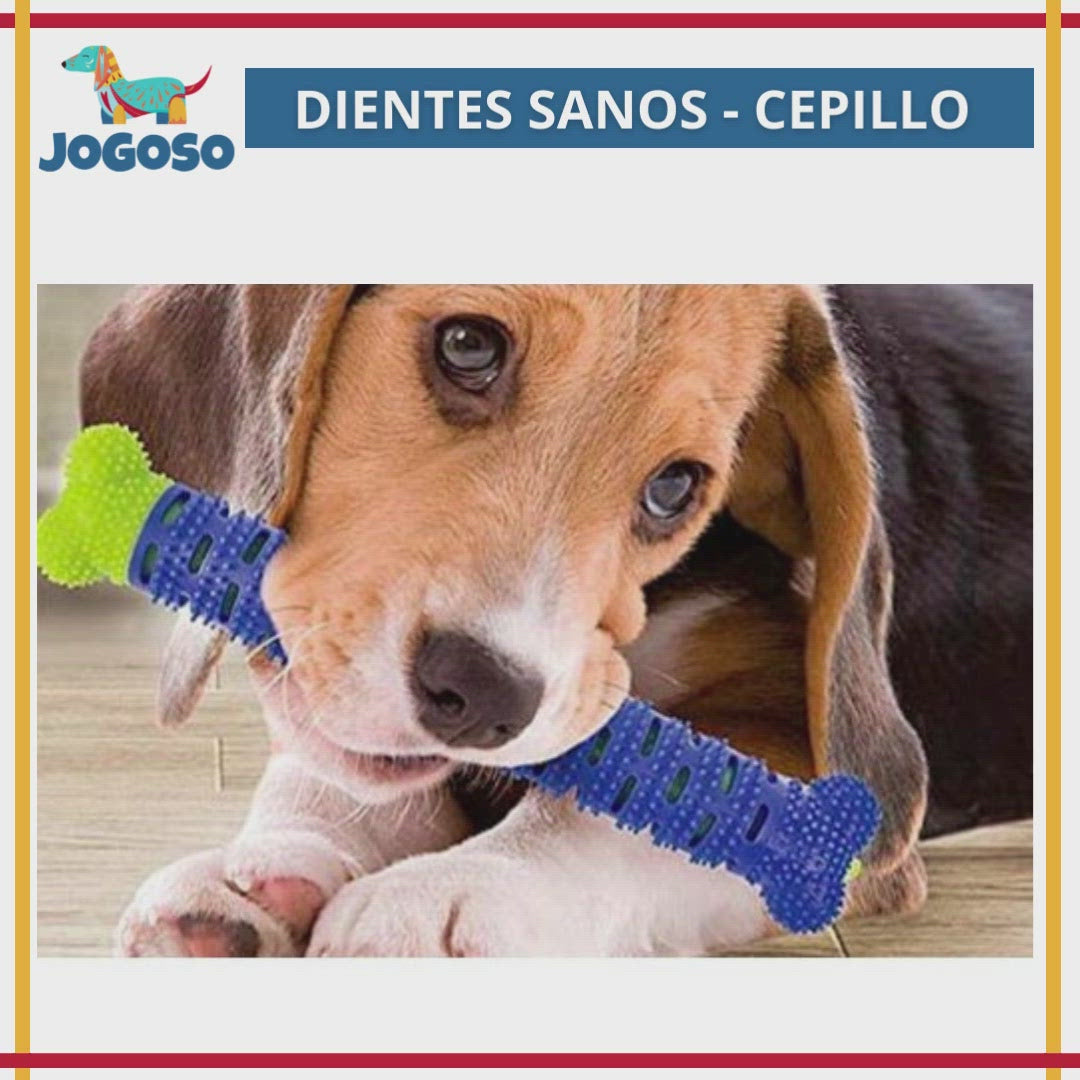 Dientes Sanos ® Hueso para Mascotas