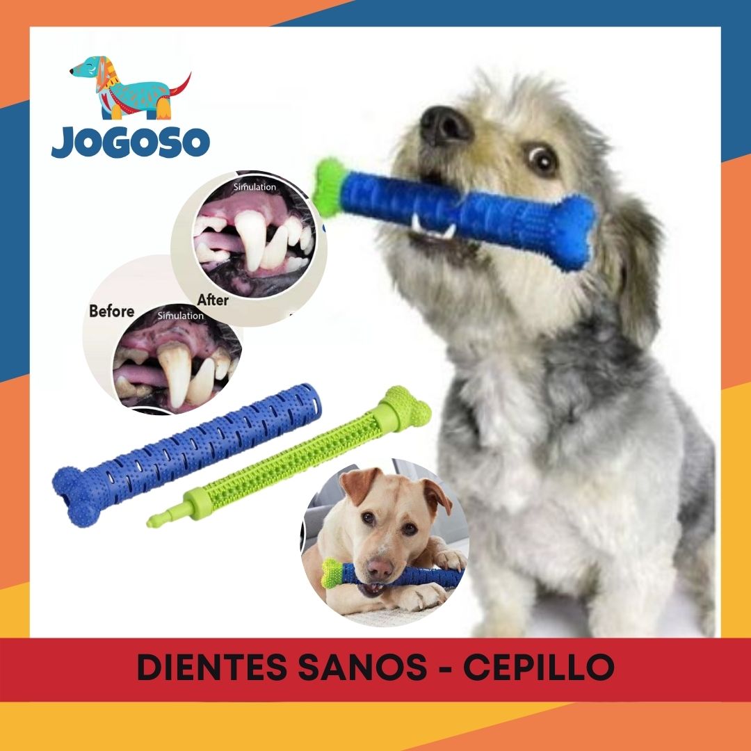 Dientes Sanos ® Hueso para Mascotas